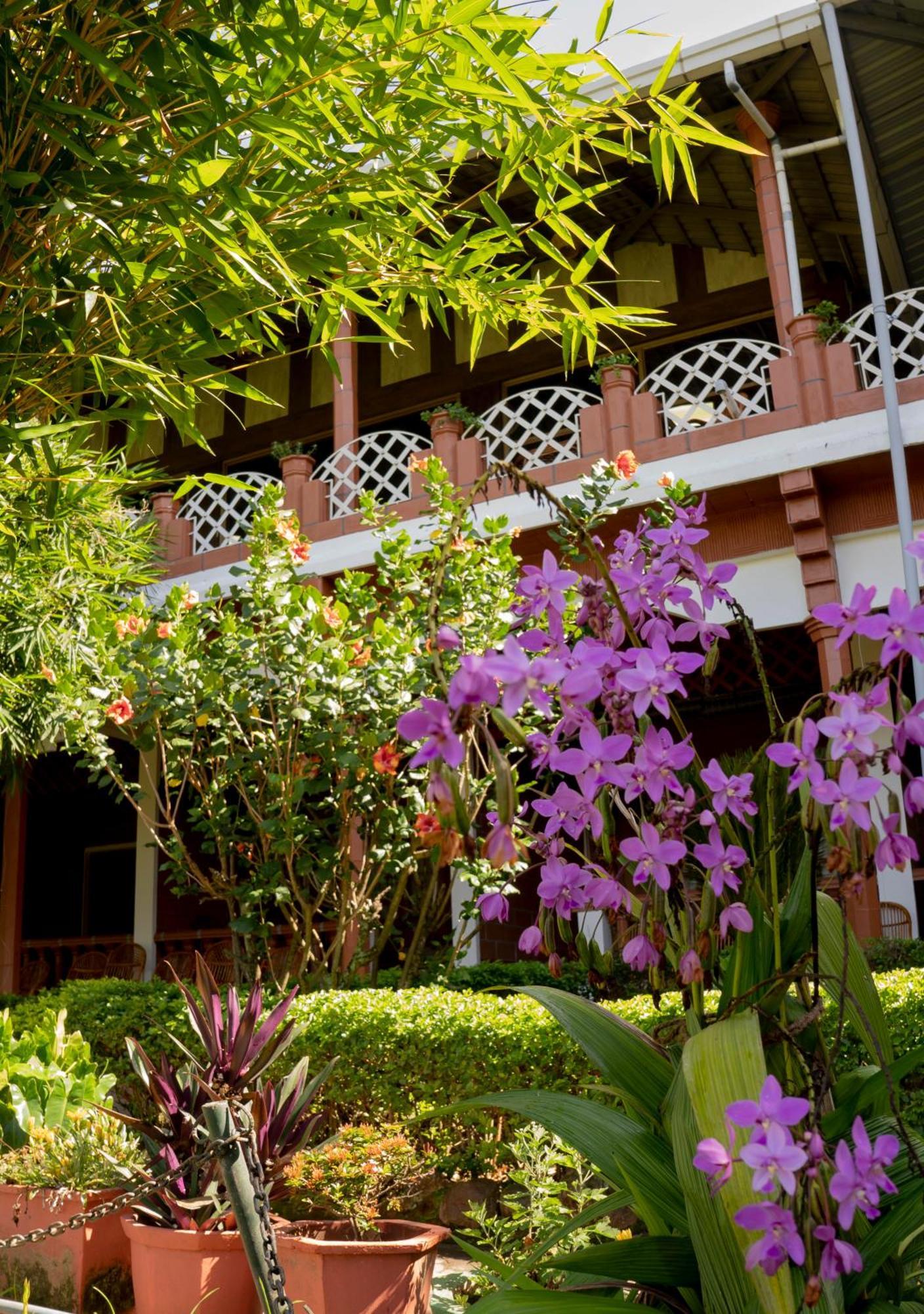 The Nest Inn Resort Masinagudi Buitenkant foto